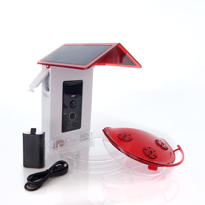 6hvEqFlkXoCz7DweeEJw0h