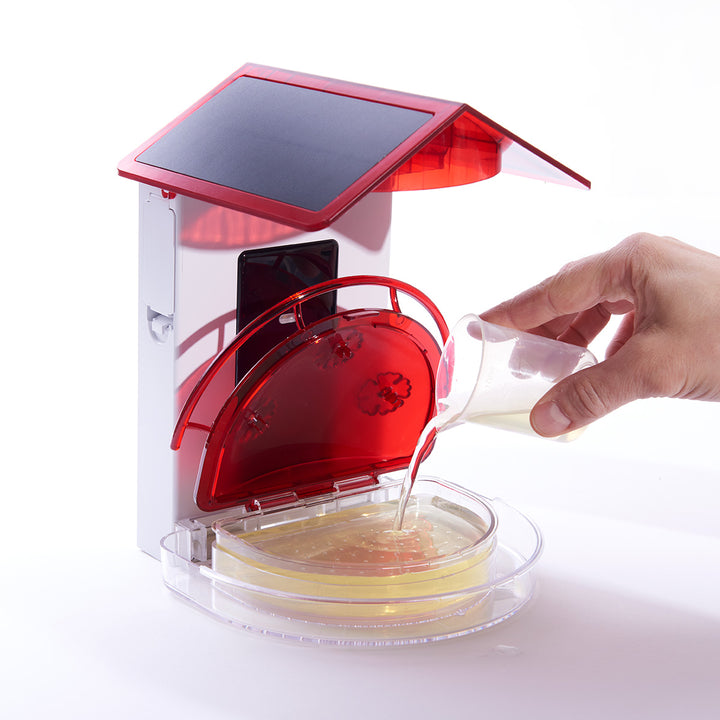 3zP6UAM3HVcwM0fWdY7lbe