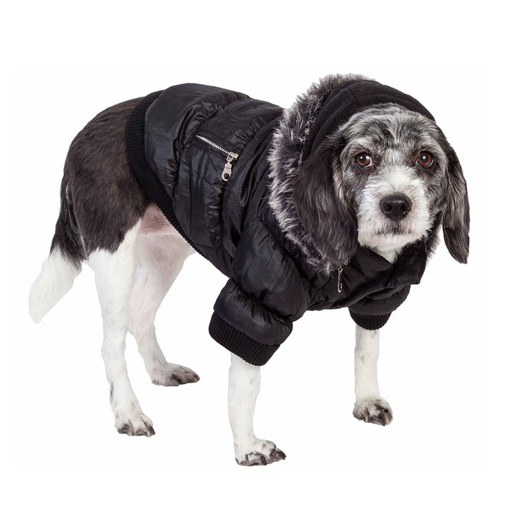 Insulated Dog Coat Parka with Removable Hood