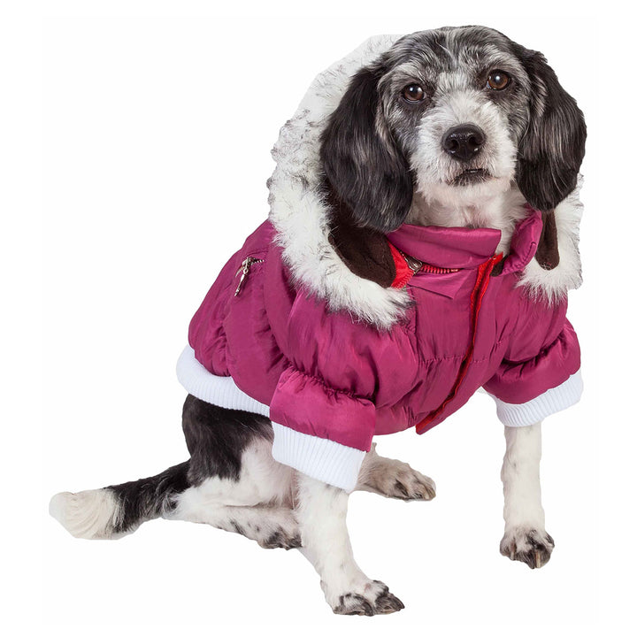 Insulated Dog Coat Parka with Removable Hood