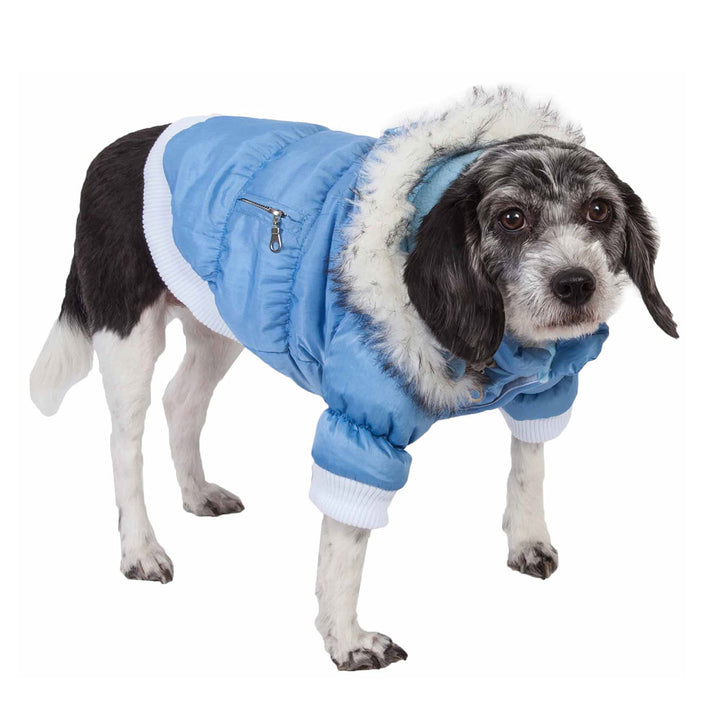 Insulated Dog Coat Parka with Removable Hood