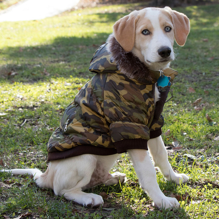 Insulated Dog Coat Parka with Removable Hood