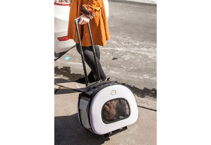 5TkVIv5MrDYNH51UdGdzhy