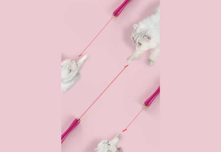 52GacEnQaEonZlacL5vXLz