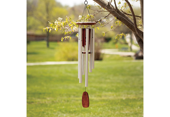 2ZB4VPRu0jWPm6G2qrVmMF