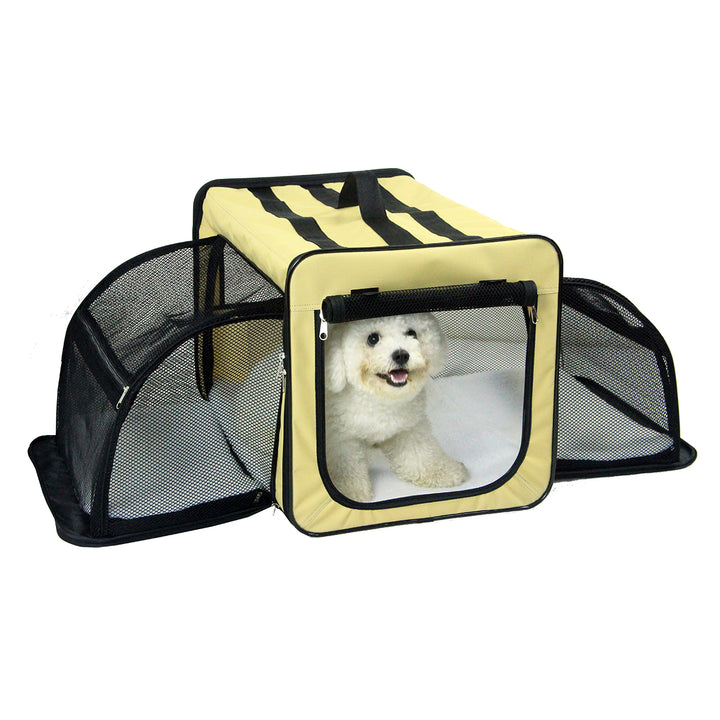 3cu60xypmC0fIoxAZsNoUS