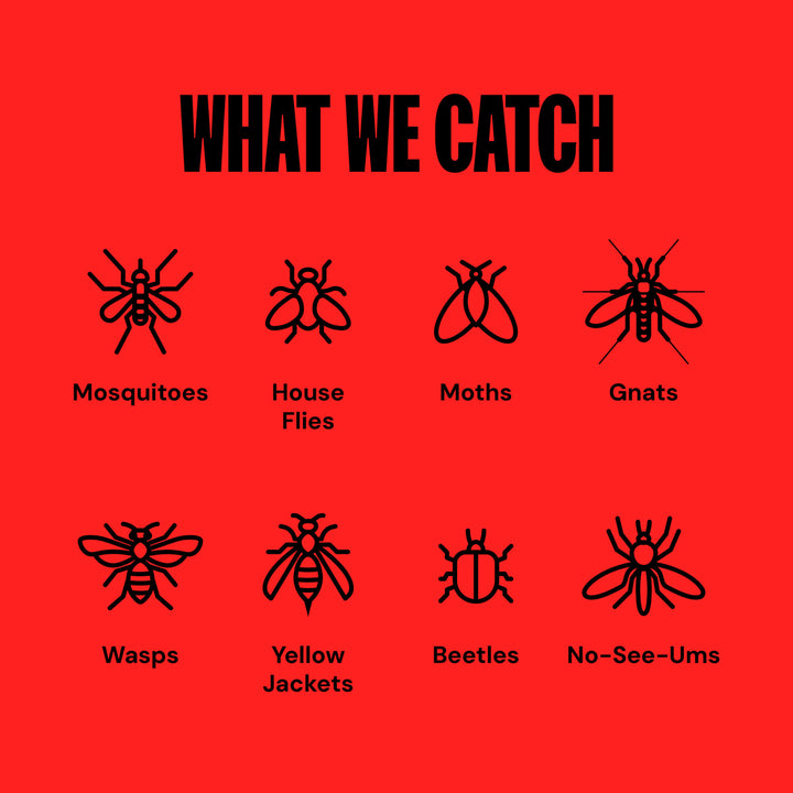 6wQIO61D1ueUW6DVyc40jB