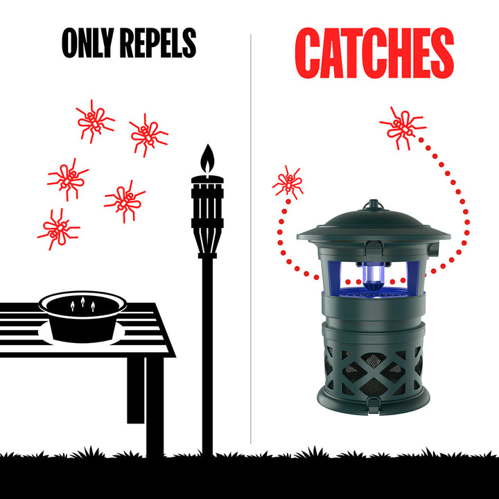 NM6unrNuv46qBToMZ566z