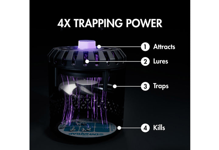 1mU4bNKJ8W8fLMct6BNNoT