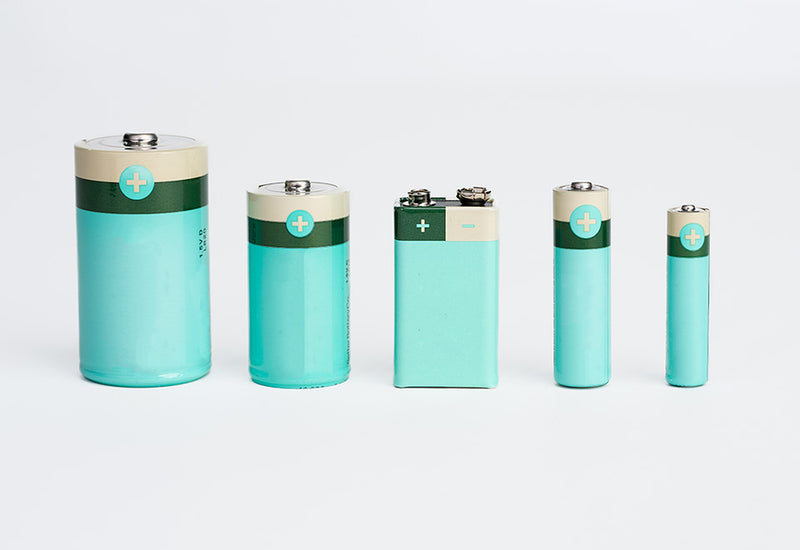 Zero Waste Recyclable Batteries - D Cell 12 Pack