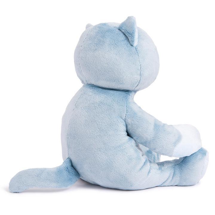 5FZQ6EJZ2g3c9Noxn1Hb8K