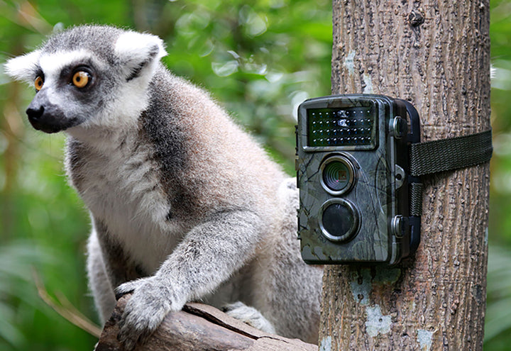 3ZqyM4RcO3amccafnhDhHq