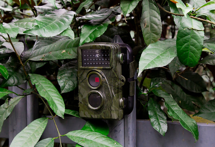 5fBoc80SrqrWDhI7RrOLDg