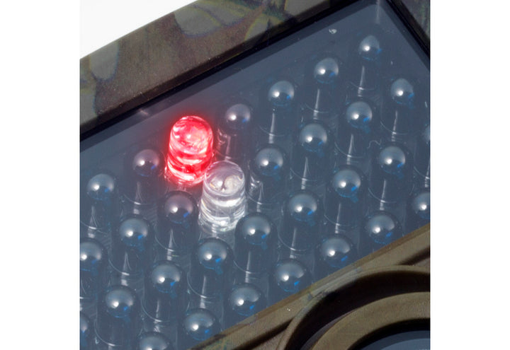 1kPAqo6uIKAGW2alecenPg