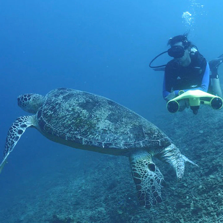 4RcUS2y53ggXYO3Yi2jX5X