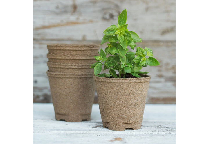 4cMoCMQdJIO0sfk1qK3MyX