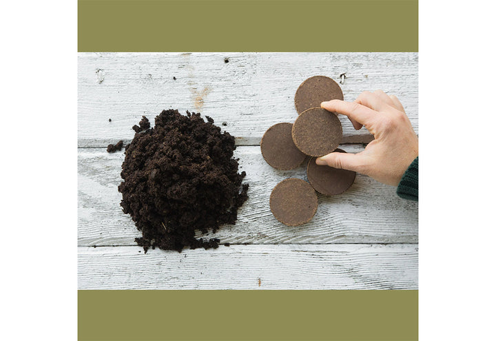 7vs5uYduVsno5Dho7GjerC