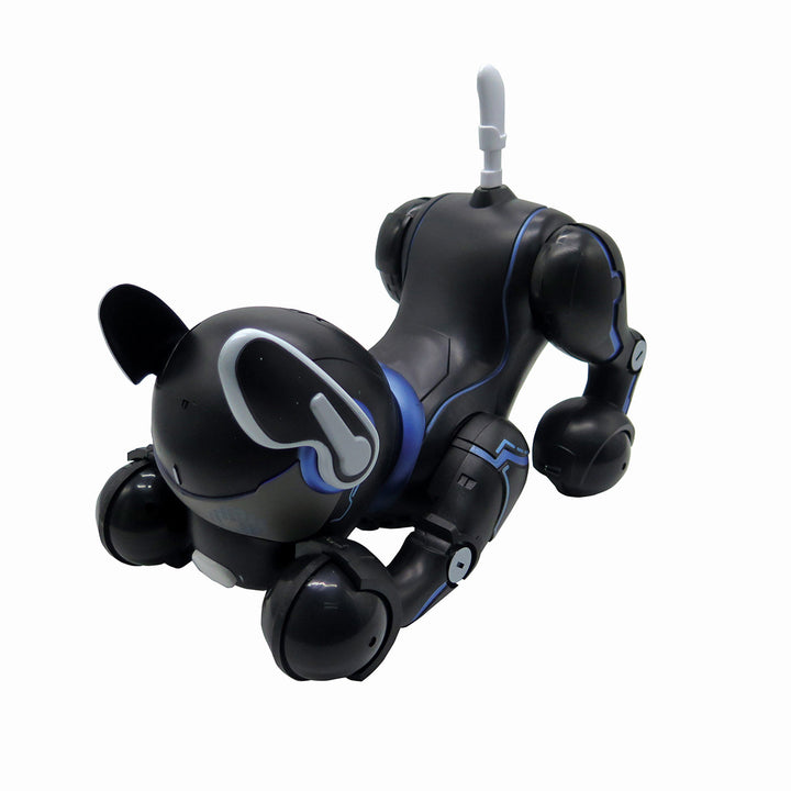 6RPhow8U2jrLSpc5YWh3SG