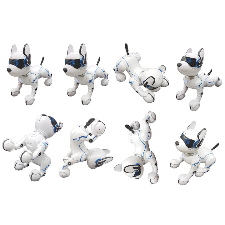 dTSinlCEo6xMjCyE6WFau