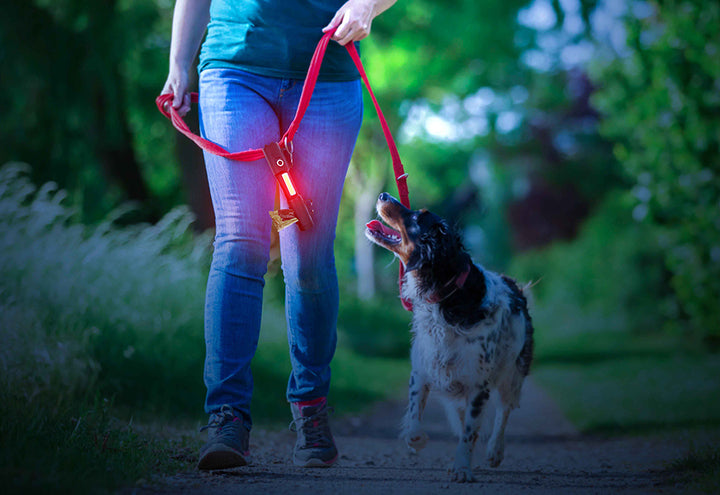 21fHzmeGIsotkbwyrODCvx