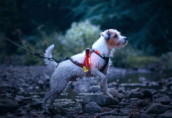 2pw4d5V3IzYuBFfgth1B14