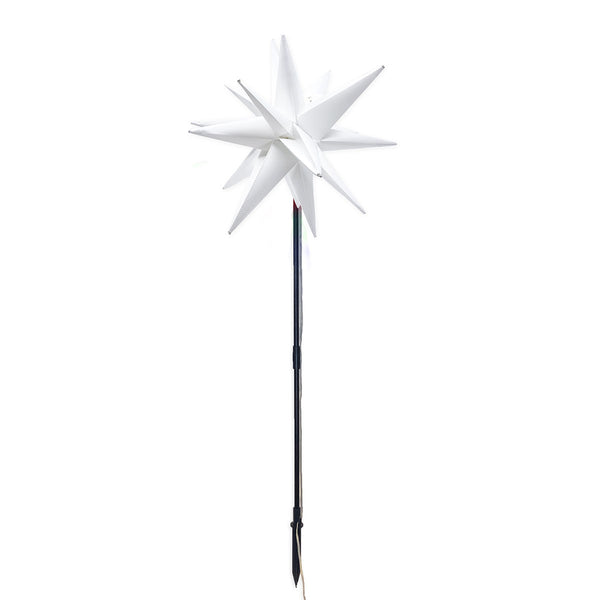 Twinklers™ Indoor/Outdoor Decorative LED Star