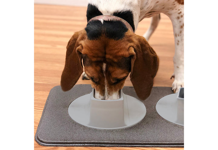 7FJsHoN1sBwJPm3L2Yd7TH