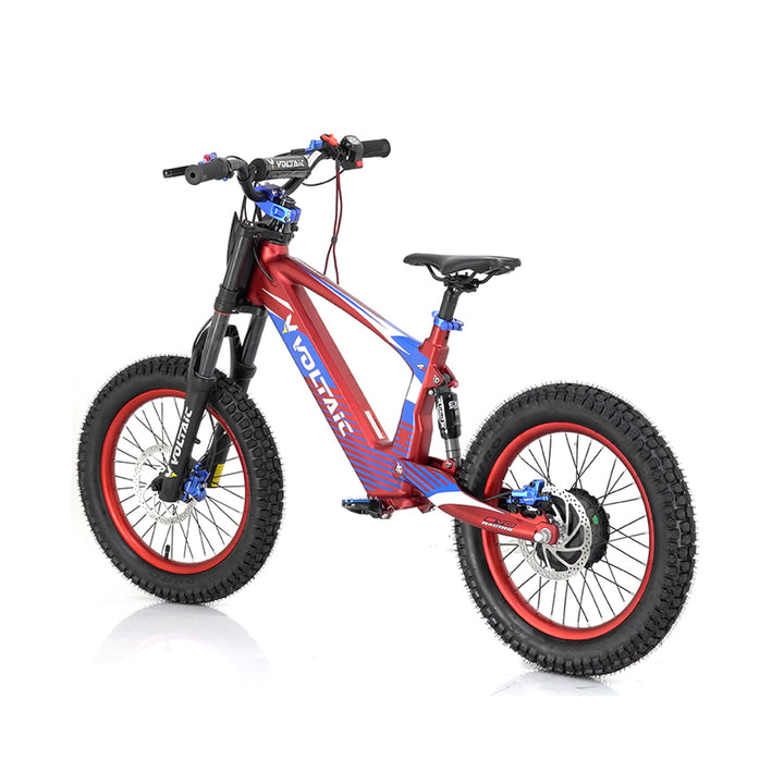 Youth Electric Dirt Bike
