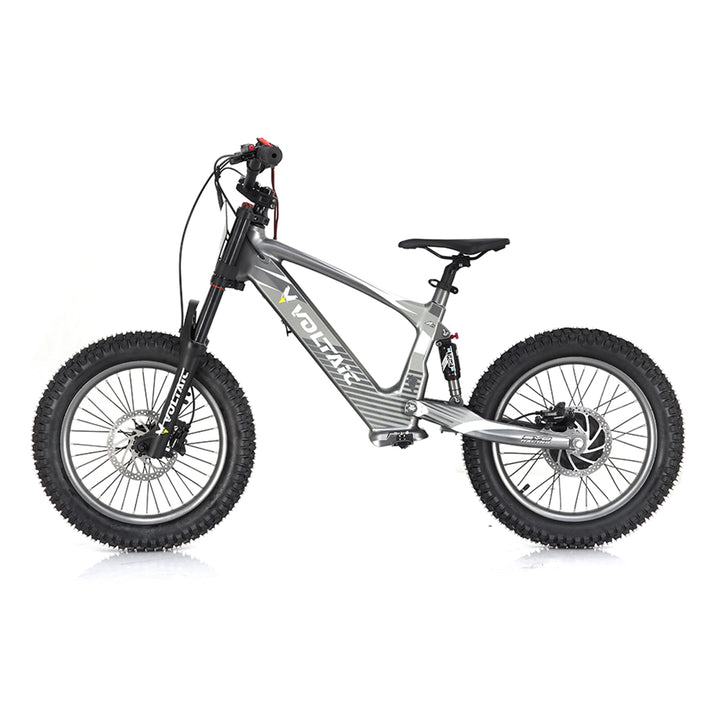 Youth Electric Dirt Bike
