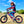 Youth Electric Dirt Bike