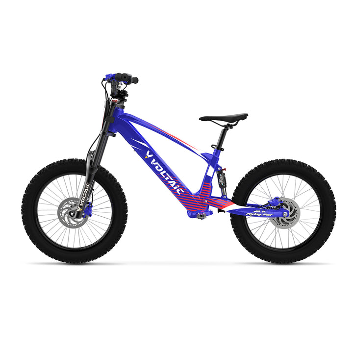 Youth Electric Dirt Bike