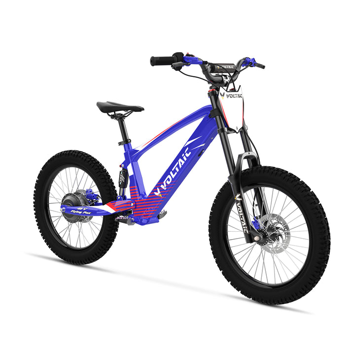 Youth Electric Dirt Bike