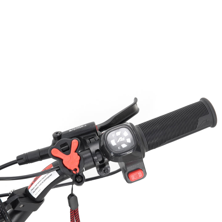 Youth Electric Dirt Bike