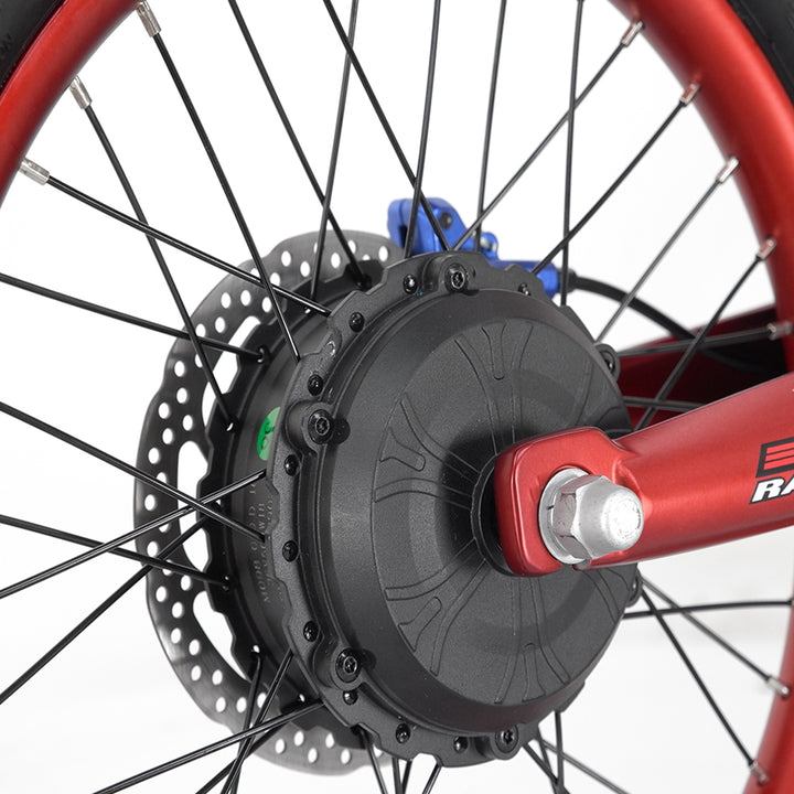 Youth Electric Dirt Bike