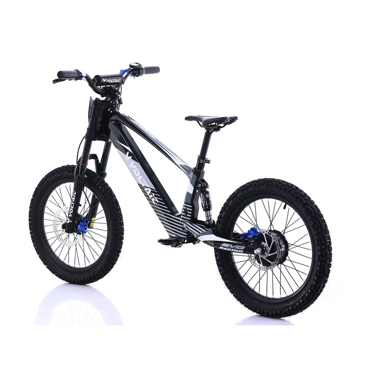 Youth Electric Dirt Bike