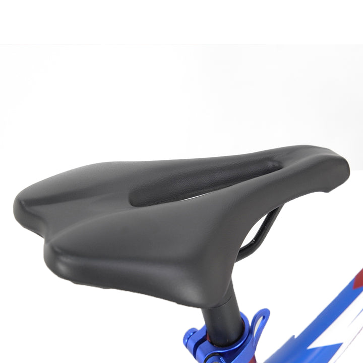 Youth Electric Dirt Bike