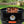 6lIlYdY3LmnDhl3UNGrPLZ