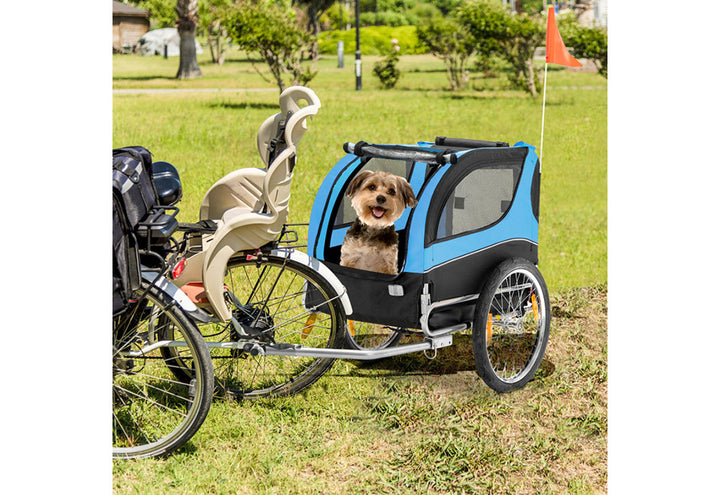 5kFLpzfHnsftP25bg6y9Nn