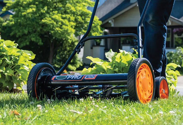 6sHe7YoUhY50MHvQNBFehI