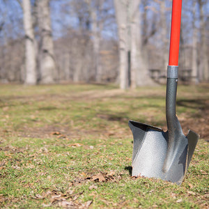 2lRXoddGZKjoBkwBqvk81m