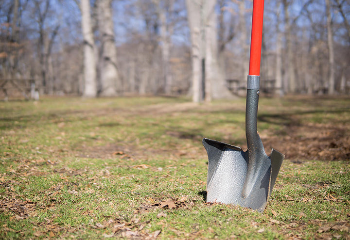 2lRXoddGZKjoBkwBqvk81m