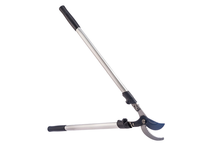 5KlrIBdk76XHkZASnusmNL