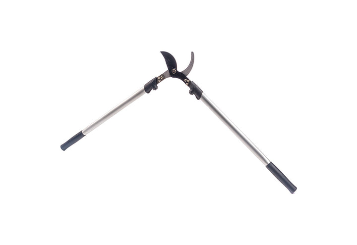 3xU2pLJdAWjRjRQLusZVt