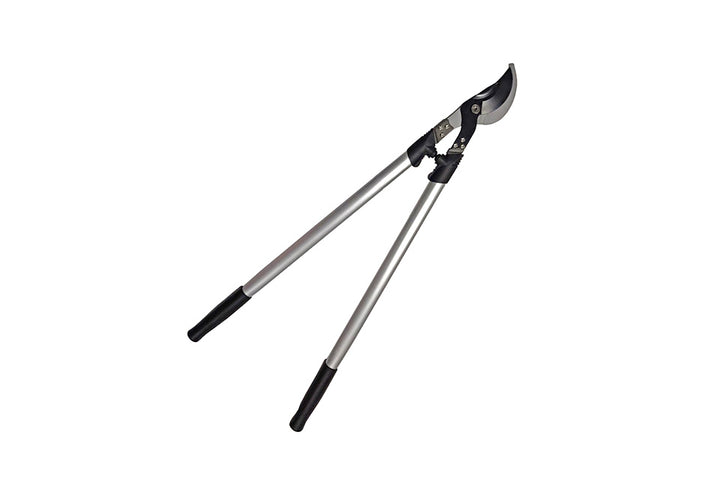 2ObFoKi5cBocJwXdOekmbT