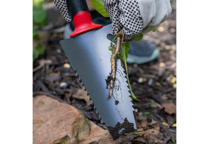 UEp10f7ZQo7qeYPTMVBNU