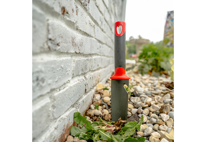 Z8uhAb86MZCQBKUznlhxi