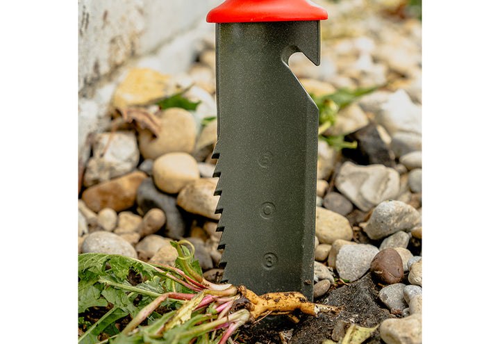 3k8Pc3JnBXKAJ5OCYvZgDe