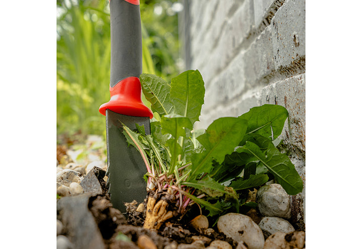 1UOZStpMRx3hbp2t2HUeyc