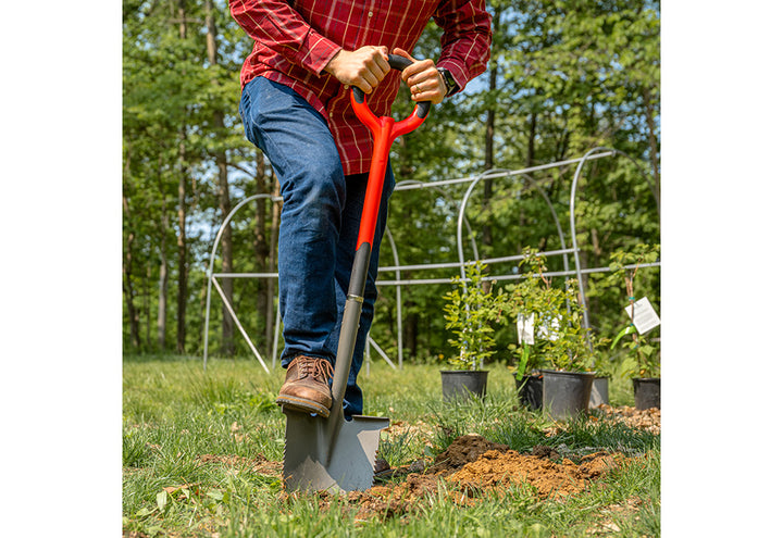 6sISdiELdiWe13CwVabP3d