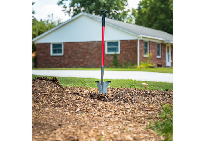 70O21bEYf7Q7pj0BrE9CmX